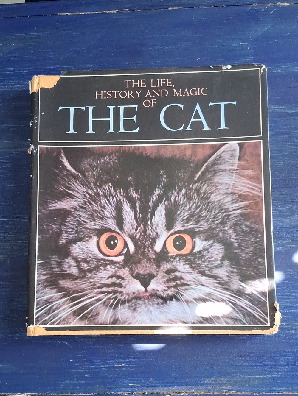 Vintage "The Life, History & Magic of the Cat", 1969 2nd Edition Coffee Table Bo